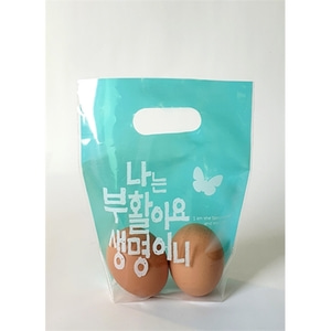 부활절 손잡이비닐가방 KJ24 - 민트나비 (20매)